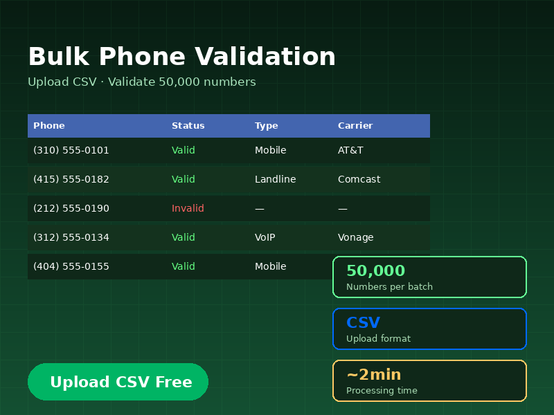 Bulk Phone Validation (Batch Lookup)
